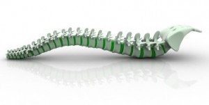 Jenny Sprung, Treat Yourself Naturally Pain Relief, flexibility, structure, balance, energy, healing, wellness, nutrition
